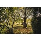 FISKARS PowerGearX teleszkópos ágvágó UPX86