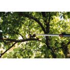 FISKARS PowerGearX ágvágó UPX82