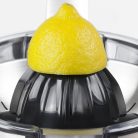 CASO CP 300 citrusprés
