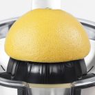 CASO CP 300 citrusprés